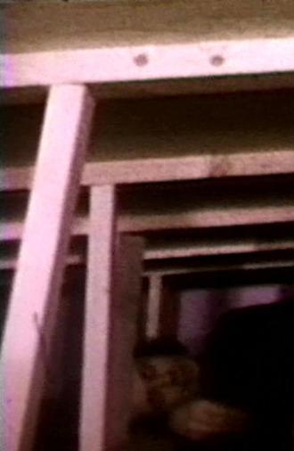 Seedbed (1972)