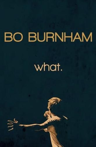 Bo Burnham: What. (2013)