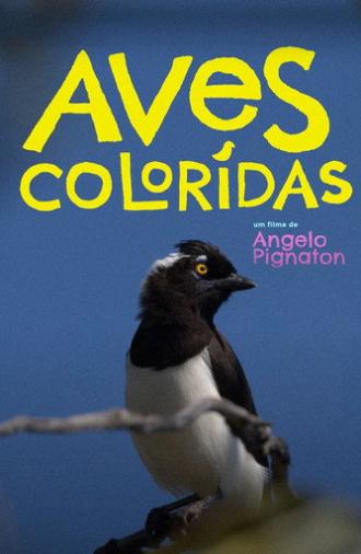 Colored Birds (2023)