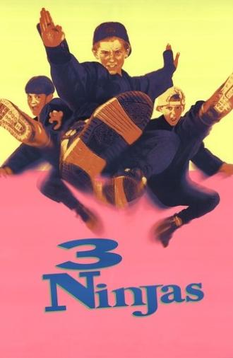 3 Ninjas (1992)