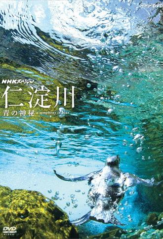 The Niyodo River: A Symphony in Blue (2012)