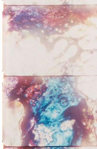 Cloud Chamber (1999)