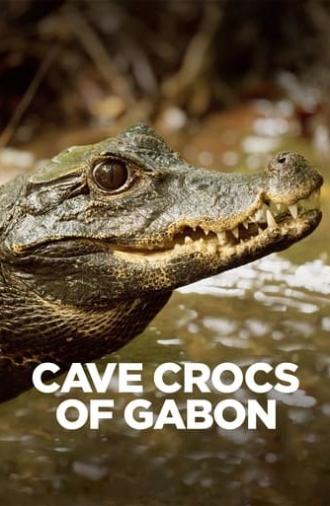 Cave Crocs of Gabon (2018)