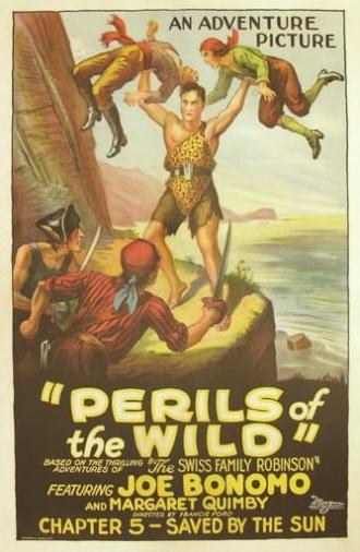 Perils of the Wild (1925)