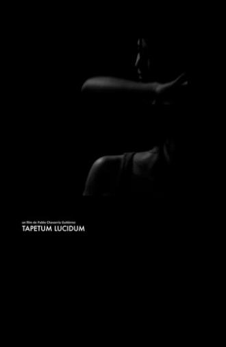 Tapetum Lucidum (2013)