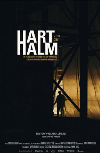 Hart van de Halm (2025)