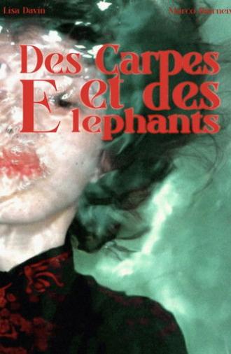 Des Carpes et des Éléphants (2024)
