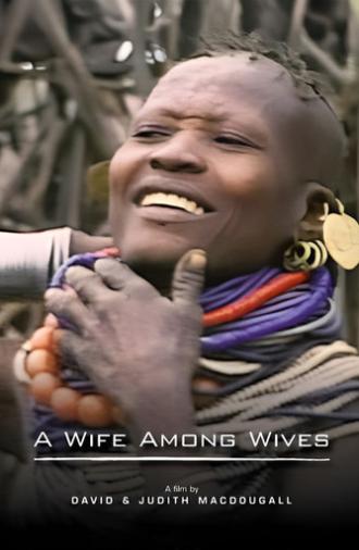 A Wife Among Wives (1981)