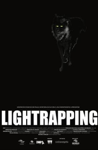 Lightrapping (2016)