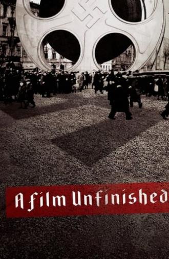 A Film Unfinished (2010)