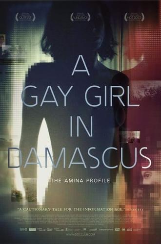 A Gay Girl in Damascus: The Amina Profile (2015)