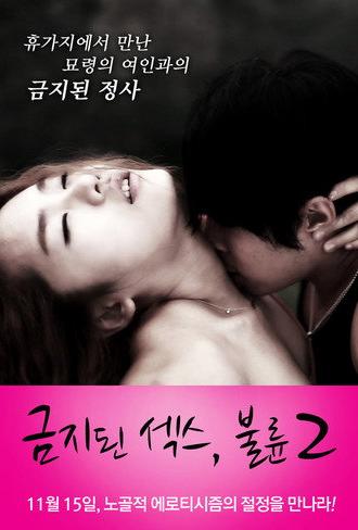 Forbidden Sex: Affair 2 (2012)