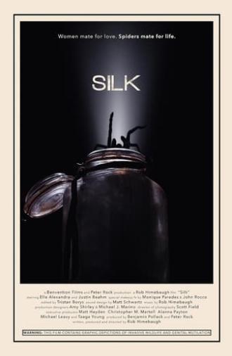 Silk (2014)