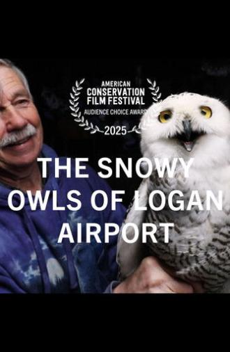 The Snowy Owls of Logan Airport (2024)