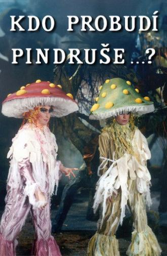 Kdo probudí Pindruše...? (1989)