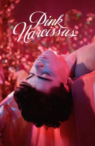 Pink Narcissus (1971)