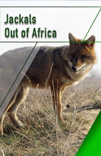 Jackals - Out of Africa (2007)