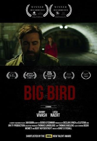 Big Bird (2015)