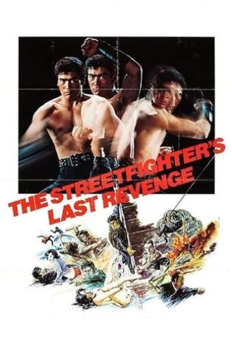 The Street Fighter's Last Revenge (1974)