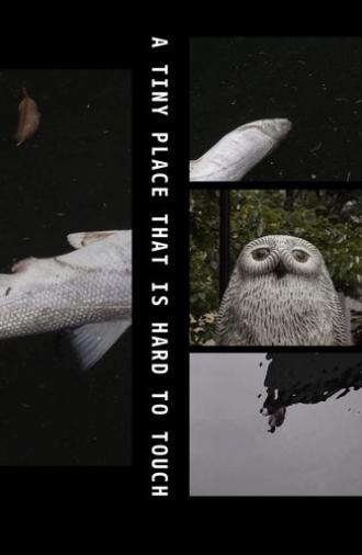 A Tiny Place That Is Hard to Touch (2019)