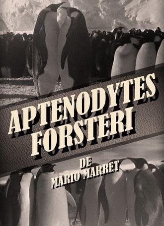 Aptenodytes Forsteri (1954)