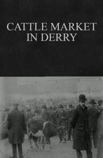 Cattle Market in Derry (1902)