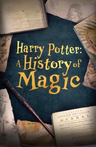 Harry Potter: A History Of Magic (2017)