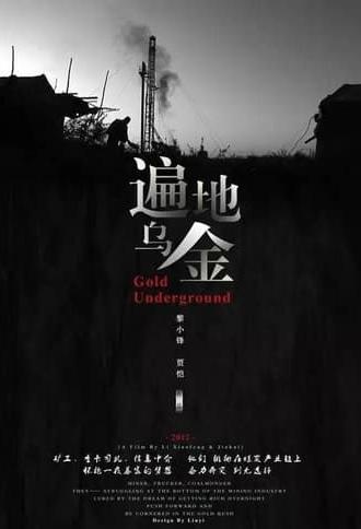 Gold Underground (2011)