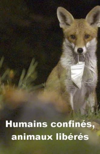 Menschen eingesperrt, Tiere befreit (2023)