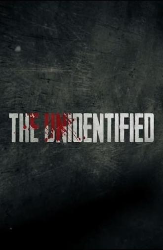 The Unidentified (2015)