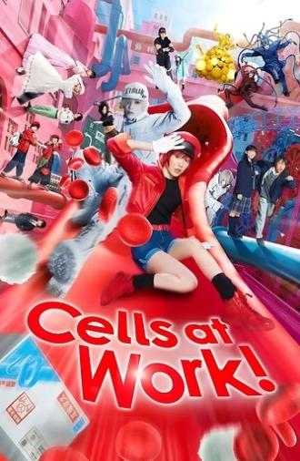 Cells at Work! (2024)