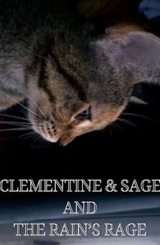Clementine & Sage and The Rain's Rage (2024)