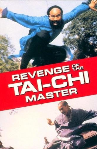 Secret of Tai Chi (1982)