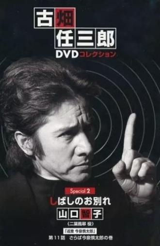 A Brief Parting (1996)