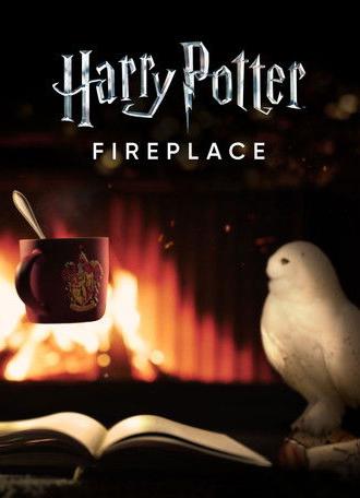 Harry Potter: Fireplace (2022)
