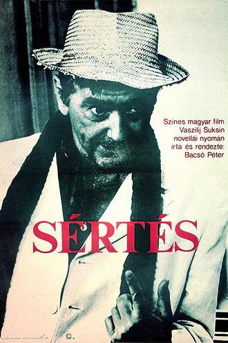 The Insult (1983)
