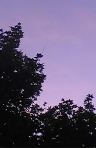 Towards The Night (2026)