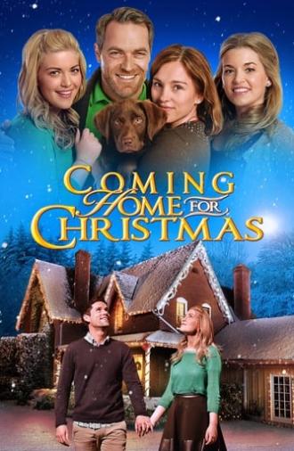 Coming Home for Christmas (2013)