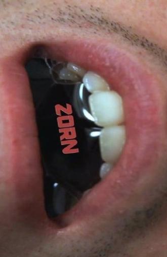 Zorn (2015)