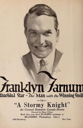 A Stormy Knight (1917)