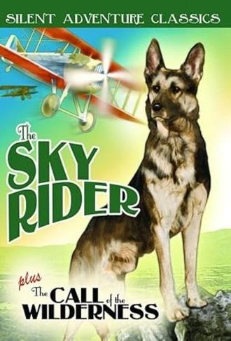 The Sky Rider (1928)