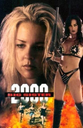 Big Sister 2000 (1995)