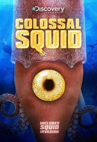 Colossal Squid (2008)