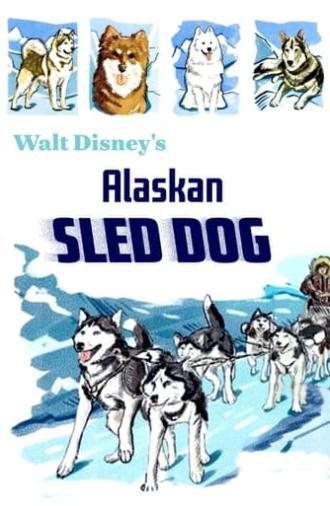 Alaskan Sled Dog (1957)