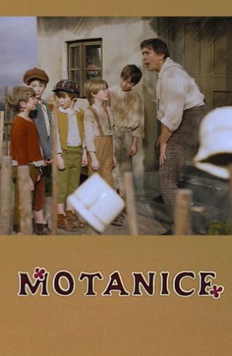 Motanice (1988)