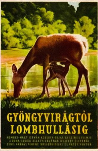 From Blossom Time to Autumn Frost (1953)