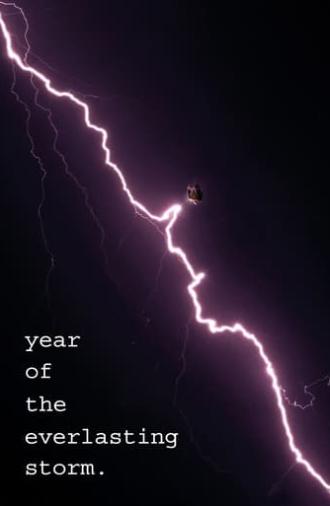 The Year of the Everlasting Storm (2021)