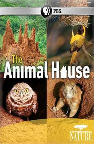 The Animal House (2011)