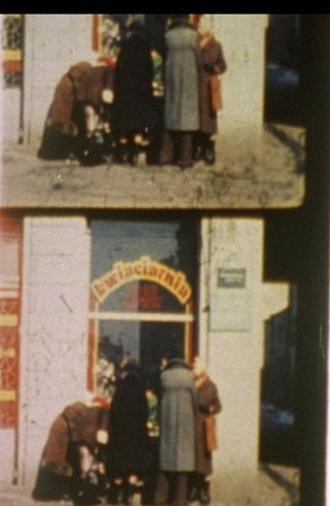 Notes for a Polish Jew (2012)