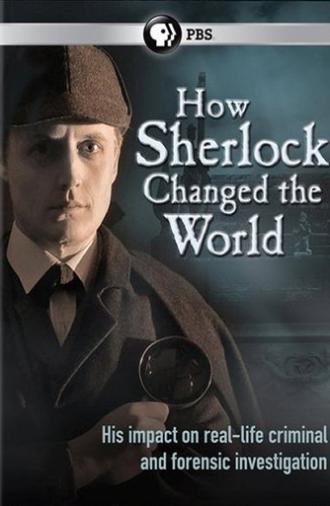 How Sherlock Changed the World (2013)